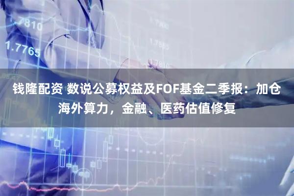 钱隆配资 数说公募权益及FOF基金二季报：加仓海外算力，金融、医药估值修复