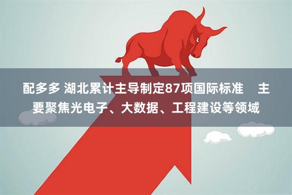配多多 湖北累计主导制定87项国际标准    主要聚焦光电子、大数据、工程建设等领域