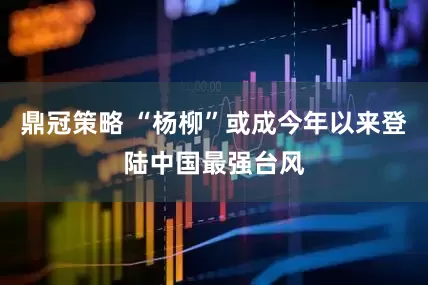 鼎冠策略 “杨柳”或成今年以来登陆中国最强台风