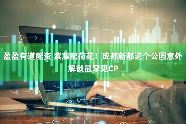 盈盈有道配资 紫藤配荷花！成都新都这个公园意外解锁最罕见CP