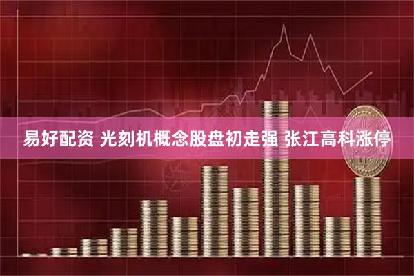 易好配资 光刻机概念股盘初走强 张江高科涨停