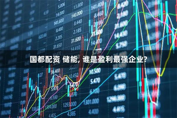 国都配资 储能, 谁是盈利最强企业?