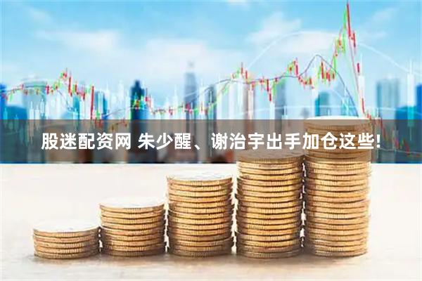 股迷配资网 朱少醒、谢治宇出手加仓这些!