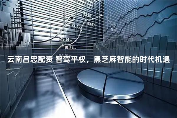 云南吕忠配资 智驾平权，黑芝麻智能的时代机遇